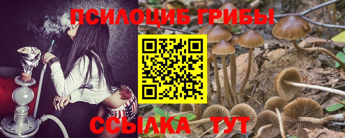 Галлюциногенные грибы Cubensis  Псилоцибиновые грибы GOLDEN TEACHER  Белово  Вход с VPN 